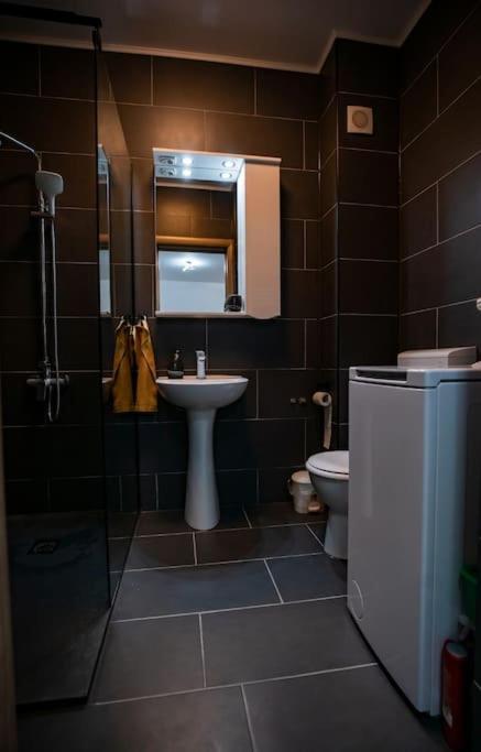 Sunrise Apartment オラデア エクステリア 写真